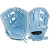 Pro H-Web | Columbia Blue