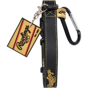 Rawlings | Glove & Batter’s Protection Accessory Clip | Bag Attachment with Carabiner & Hanging Loops | Multiple Colors(Black)