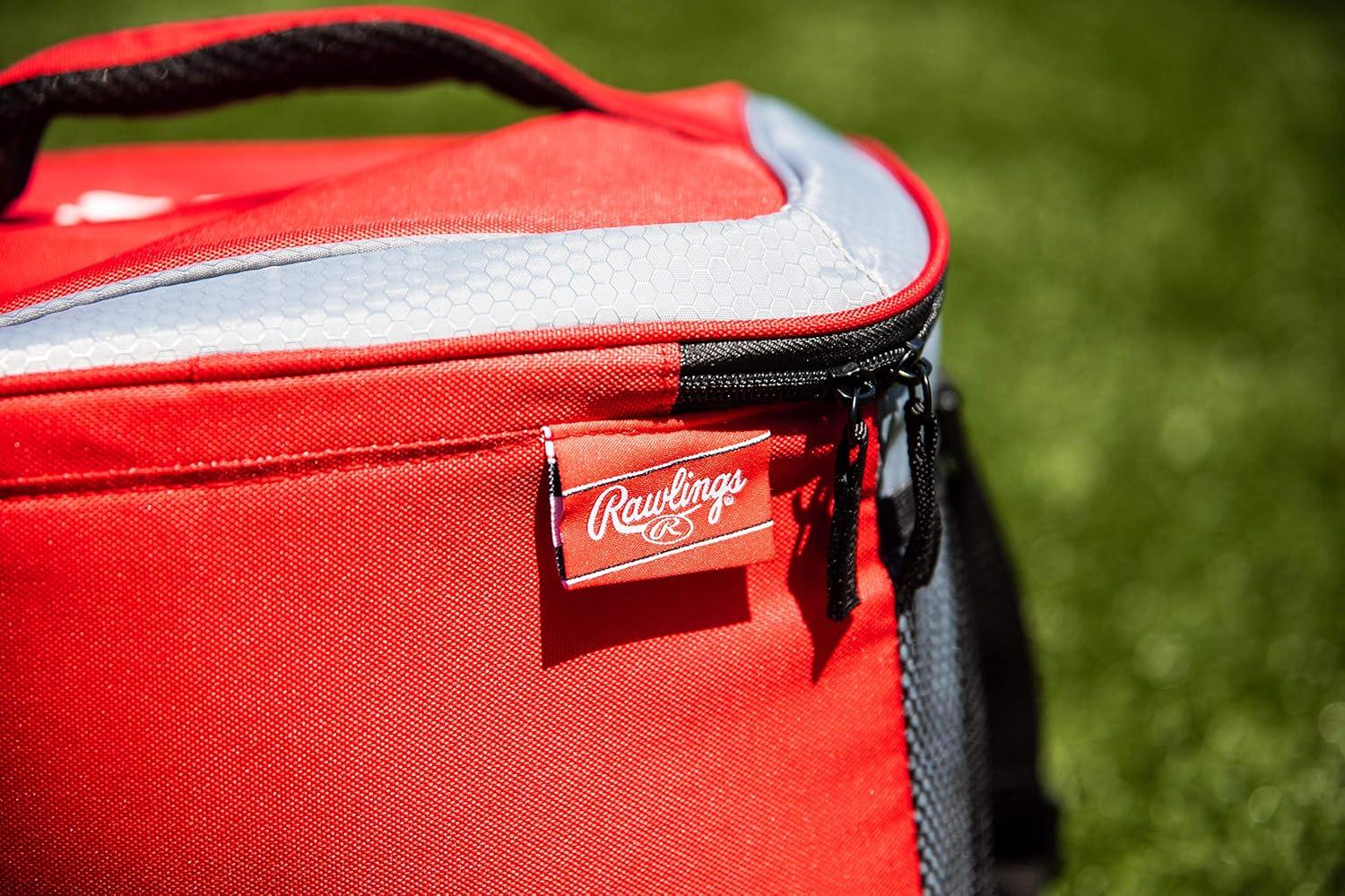 image:imageRawlings NFL SoftSided Insulated Cooler Bag 24Can Capacity ALL TEAM OPTIONSNew England Patriots